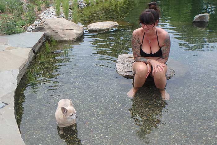 We Love Chihuahuas