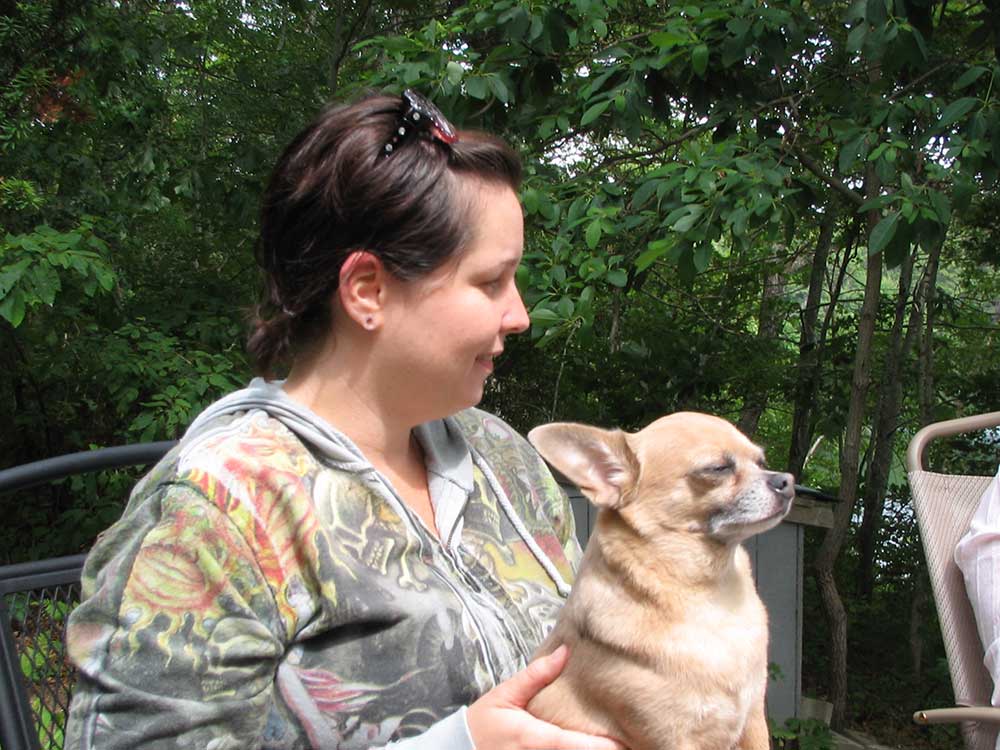 We Love Chihuahuas