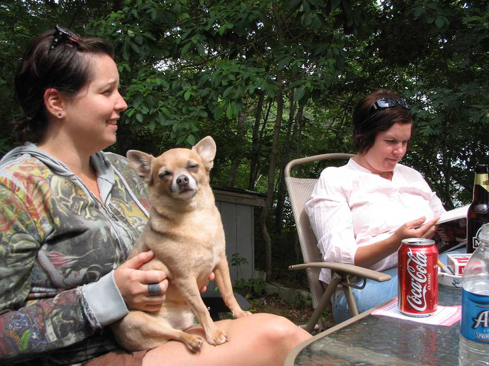 We Love Chihuahuas