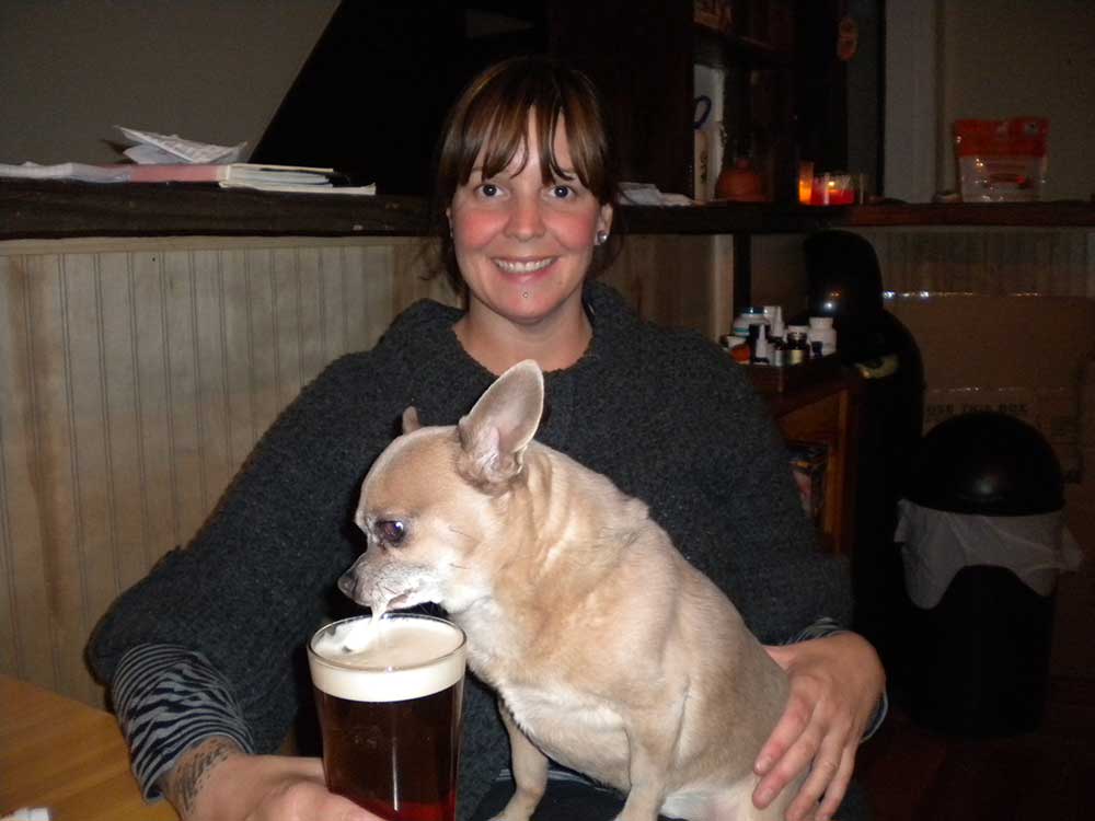 We Love Chihuahuas